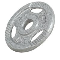 Halterschijf 1,25 kg Gripper Gietijzer Zilver - 30/31 mm - thumbnail