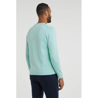 Tommy Hilfiger trui van biologisch katoen mintgroen