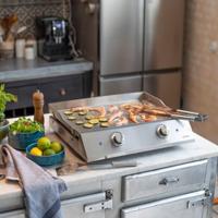 Elektrische bakplaat van roestvrij staal met 2 thermostaten - Livoo - DOC302 - - thumbnail