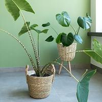 QUVIO Bloempot geweven op driepoot - S - thumbnail