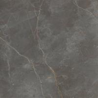 Roma Stone Pietra Grey mat 120x120 rett - thumbnail