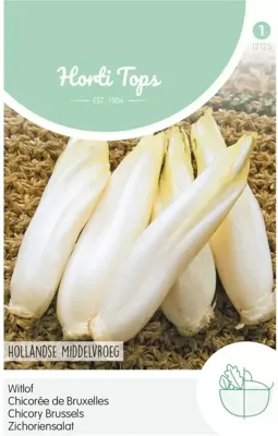 Zaden Brussels Witlof Hollandse Middelvroeg Hortitops - Hortitops