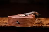 Ortega RFU11S concert ukelele naturel met tas - thumbnail