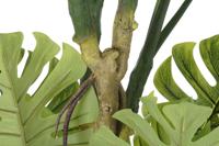 Boomstructuur DKD Home Decor Polyester Polypropyleen Monstera 75 x 75 x 180 cm - thumbnail