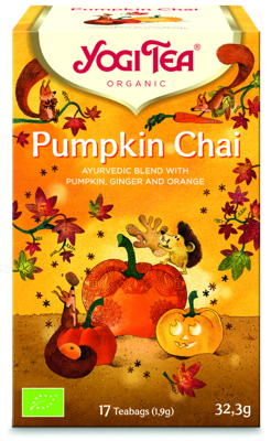 Pumpkin chai bio 17 Zakjes