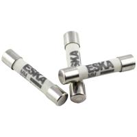 ESKA 632.407 Multimeterzekering (Ø x l) 6.30 mm x 32 mm 100 mA 1000 V Supersnel -FF- Inhoud 1 stuk(s) - thumbnail