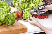 kwb 020721 Huishoudschaar - thumbnail