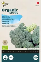 Biologische Broccoli Calabrese natalino - thumbnail