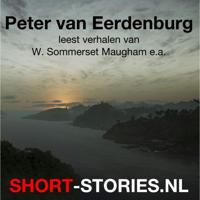 Peter van Eerdenburg - thumbnail