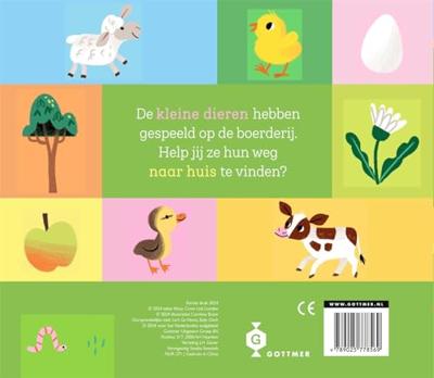 Gottmer Uitgevers Groep Kom je thuis, klein kuiken?