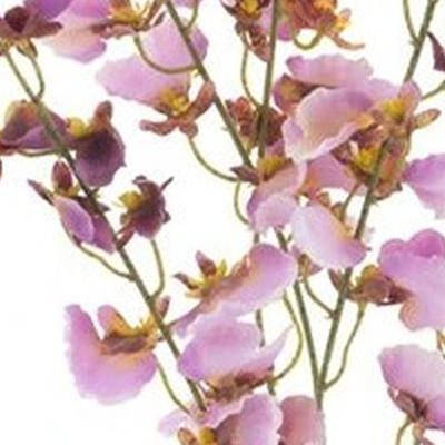 Oncidium orchid spray lavender 93 cm kunstbloem Erutan Avon - Erutan avon