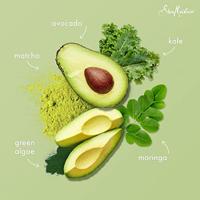 Shea Moisture Moringa & Avocado Power Greens Reconstructor - thumbnail