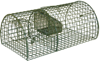 Rattenval inloop levend "Alive" Massa