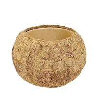 Kokodama pot (natuurlijke materialen) - P8 - thumbnail