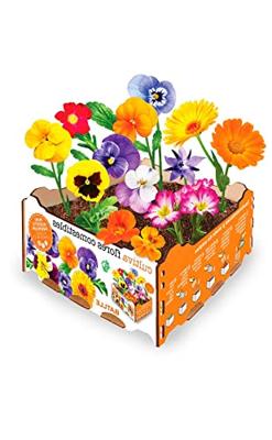 Kweekset Batlle Blommor Eetbaar 19 x 19 x 10 cm