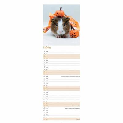 Cavia Kalender 2026 Slimline Cavia Kalender 2026 Slimline