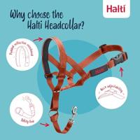 Muilkorf Company of Animals BURNT Oranje 2 - thumbnail