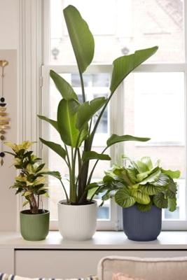 elho bloempot vibes fold rond d16 h15cm Varengroen