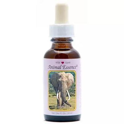 Animal Essences Elephant (olifant) 30 Milliliter
