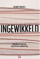 Ingewikkeld - Geerdt Magiels - ebook - thumbnail