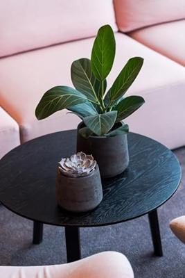 Pottery Pots Bloempot Patt Ø20x16,5cm - Black Washed