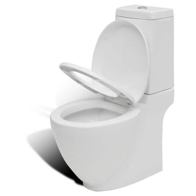 Toilet met afvoer achter keramiek wit