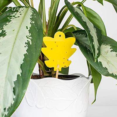 Gardigo 668005 Kleefplaatje voor insecten Plakfolie (b x h) 8.3 cm x 21.5 cm Geel 5 stuk(s)