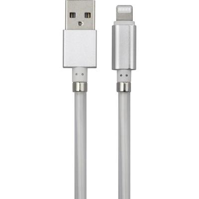Renkforce TO-6897015 USB-kabel USB 2.0 USB-C stekker, Apple Lightning stekker 2.00 m Wit