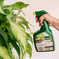 Pokon bio hardnekkige insecten spray - thumbnail