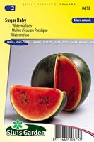 Watermeloen zaden - Sugar Baby - thumbnail