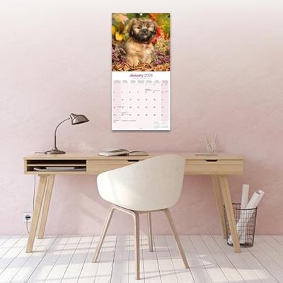 Lhasa Apso Kalender 2026