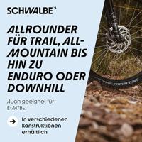 SCHWALBE Magic mary - tle - addix - dd - performance - 29x2.40 - black - thumbnail