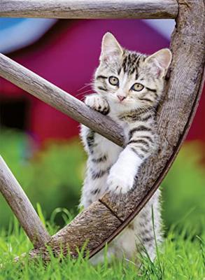 Ravensburger 2in1 Puzzel Poezen 2x500 Stukjes