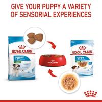 Royal Canin Mini natvoer voor puppy brokjes in saus zakjes 12x85gr - thumbnail
