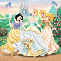 DISNEY PRINSES Puzzel 3 x 49 stks - Disney - thumbnail