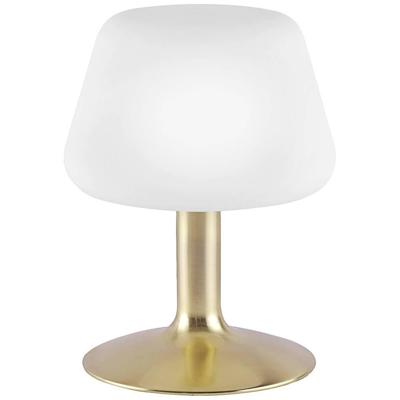 Paul Neuhaus TILL 4078-60 Bedlamp LED G9 3 W Warmwit Messing (mat) Paul Neuhaus TILL 4078-60 Bedlamp LED G9 3 W Warmwit Messing (mat)