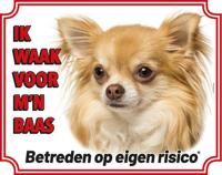 Chihuahua Langhaar Blond Waakbord - thumbnail