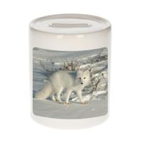 Foto poolvos spaarpot 9 cm - Cadeau vossen liefhebber - Spaarpotten - thumbnail