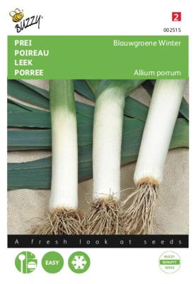 Zaden Prei Blauwgroene Winter Buzzy - Buzzy