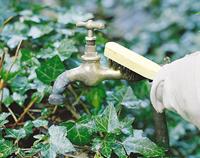 Wolfcraft Handdraadborstel | Messing | 3 rijen | 200mm | 1 stuk - 2725000 - thumbnail