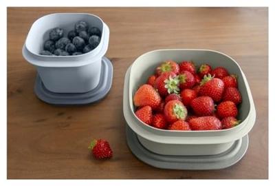 Sunware Sigma Home Vershouddoos 3.8L Grijs Sunware Sigma Home Vershouddoos 3.8L Grijs