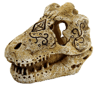 Skull T Rex S aquaria Superfish - Superfish - thumbnail