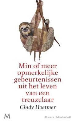 Min of meer opmerkelijke gebeurtenissen uit het leven van een treuzelaar (Hardback)