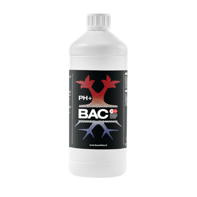 BAC BAC PH+