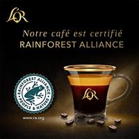 Koffiediscs L'or espresso intense 50 stuks - thumbnail