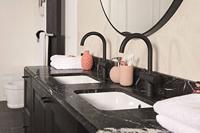 Ben Lavion draaibare wastafelkraan gestructureerd zwart - thumbnail