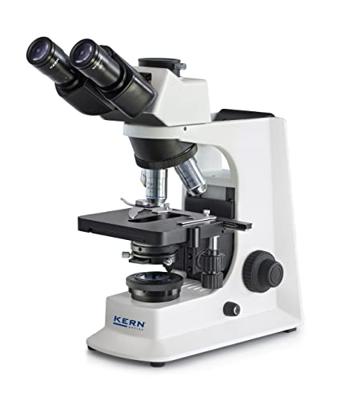 Kern OBL 156 OBL 156 Doorlichtmicroscoop Trinoculair 20 x Doorvallend licht