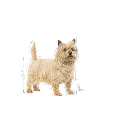 Royal Canin Light Weight Care natvoer hond (paté) 2 dozen (24 x 85 g) - thumbnail