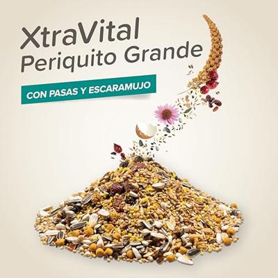 BEAPHAR XTRAVITAL GROTE PARKIET 1 KG
