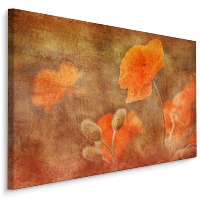 Schilderij - Vintage Klaprozen , Wanddecoratie , Premium print